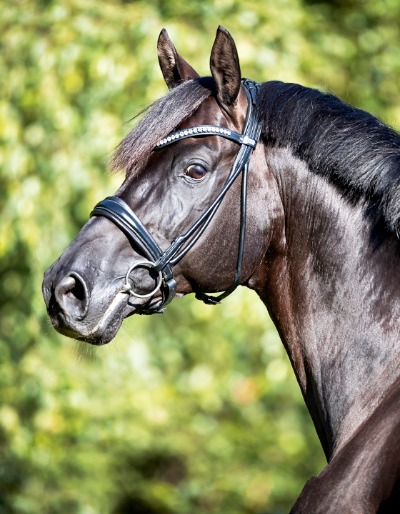 Cadeau-Noir_Portrait.jpg