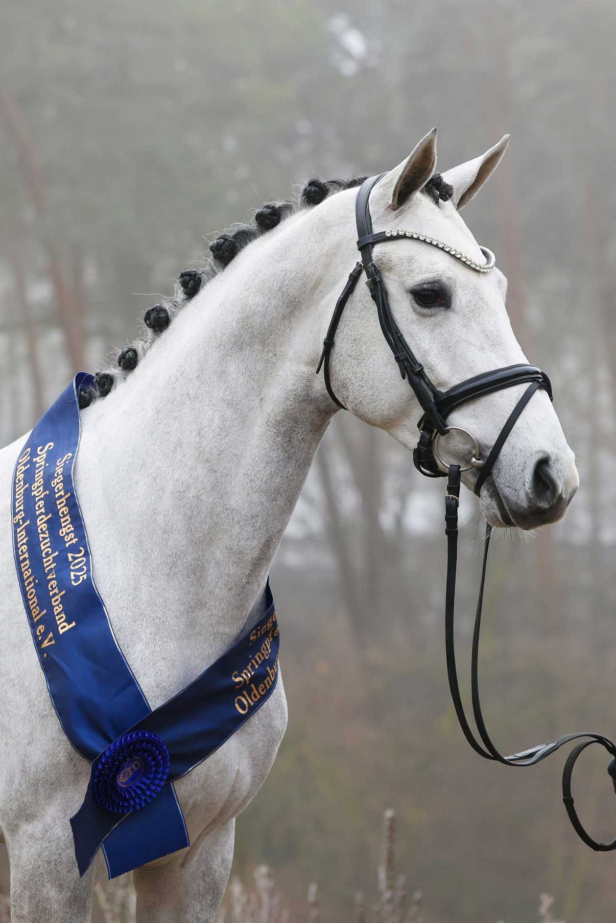 Cashmere-Blue-Web.jpg