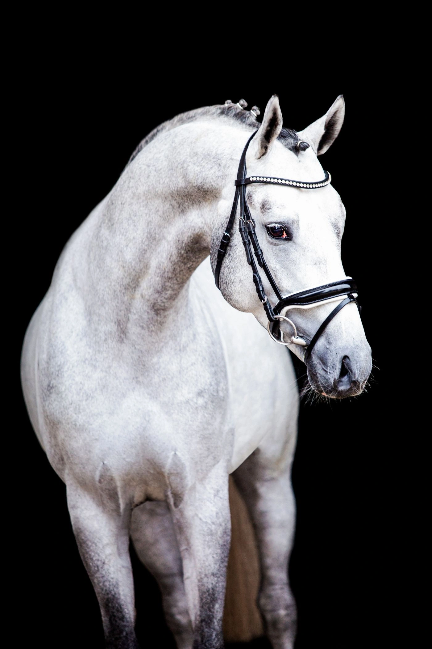 Grey_Butt_September_2020_Lovely_Moments2-1400x2100-1.webp